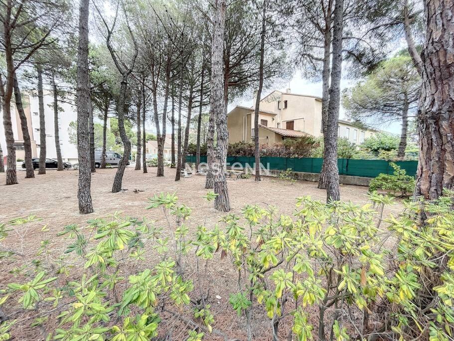2980-Appartement 1 Ch A 100M De La Mer Аржель-сюр-Мер Экстерьер фото